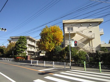 【ロイヤルスクエアの小学校】