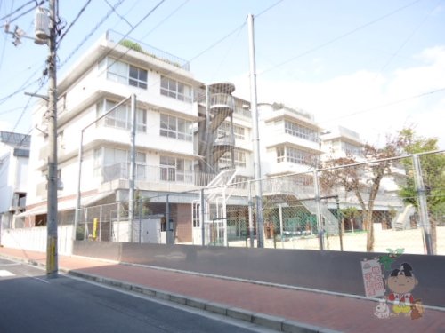 小学校　岡山市立岡山中央小学校（小学校）まで337m