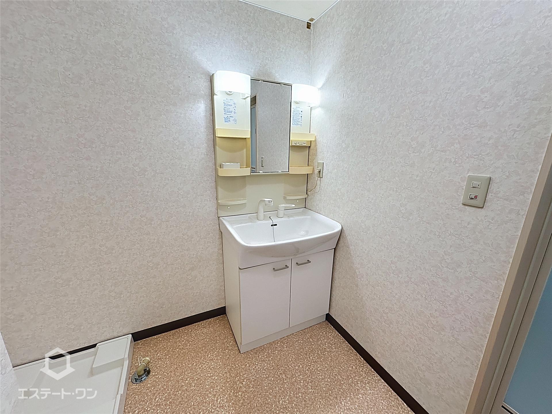 洗面設備　便利なシャワー付きの洗面台です