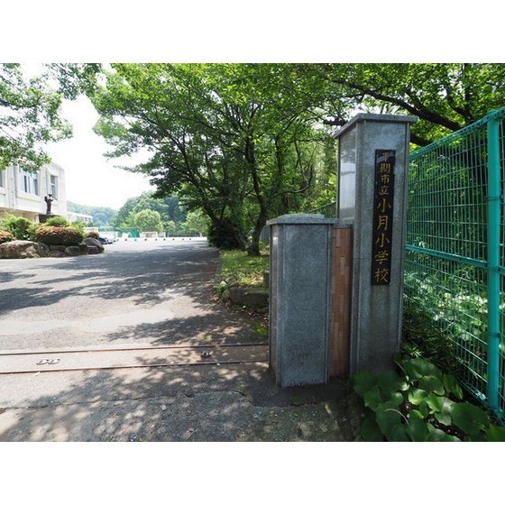 小学校　下関市立小月小学校（小学校）まで709m