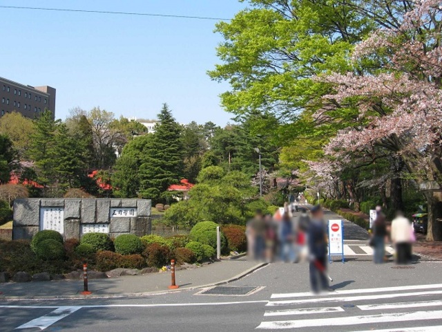 大学・短大　私立玉川大学（大学・短大）まで523m