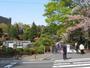 大学・短大　私立玉川大学（大学・短大）まで523m