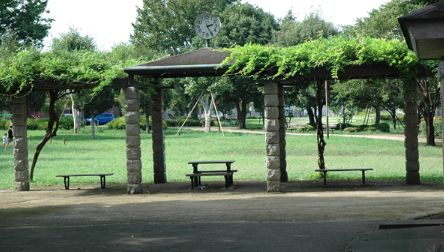 公園　連雀中央公園（公園）まで497m