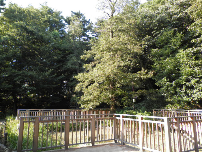公園　上野毛自然公園（公園）まで519m