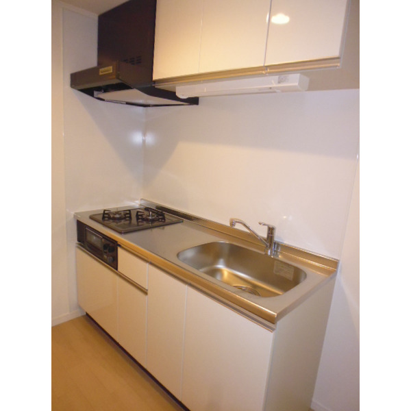 キッチン　１０３号室の写真です