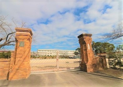 小学校　武豊町立武豊小学校（小学校）まで1200m