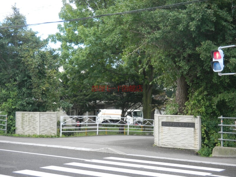 小学校　函館市立桔梗小学校（小学校）まで450m