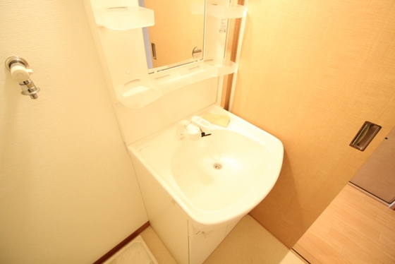 洗面設備　※別号室の写真です。