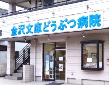 病院　金沢文庫どうぶつ病院（病院）まで210m