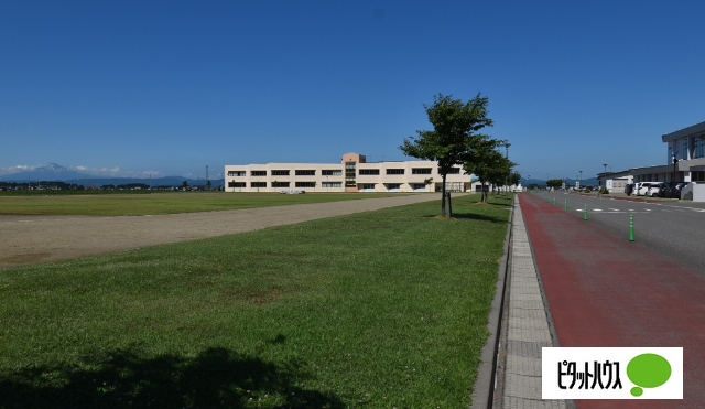 中学校　横手市立横手南中学校（中学校）まで1600m