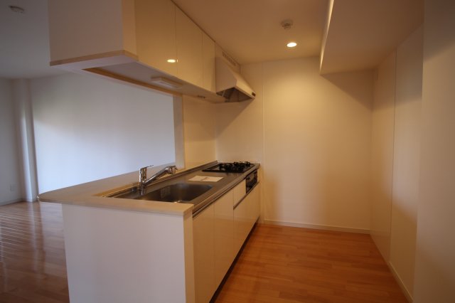 キッチン　現況優先。