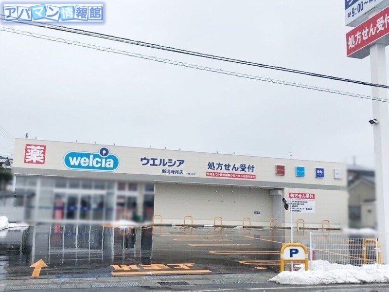 ドラックストア　ウエルシア新潟寺尾店（ドラッグストア）まで879m
