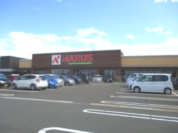 スーパー　NARUS(ナルス) 高田西店（スーパー）まで540m