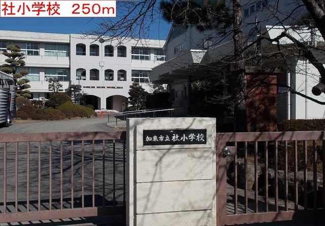 小学校　加東市社小学校（小学校）まで250m