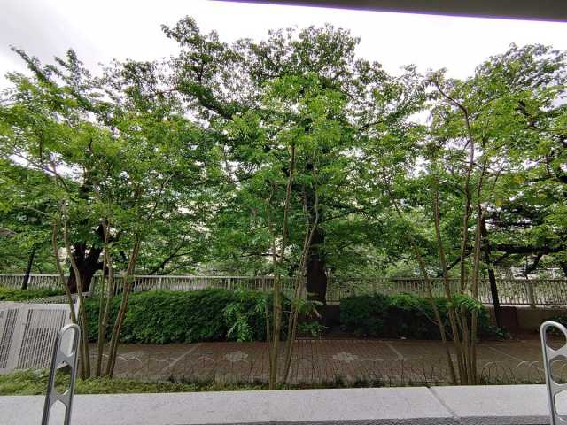 眺望　アールコート早稲田 104