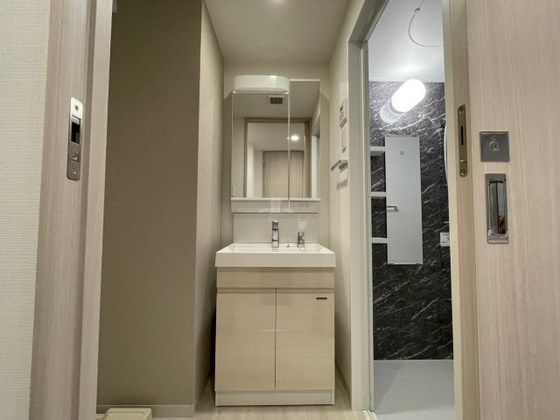 洗面設備　※別部屋の写真です