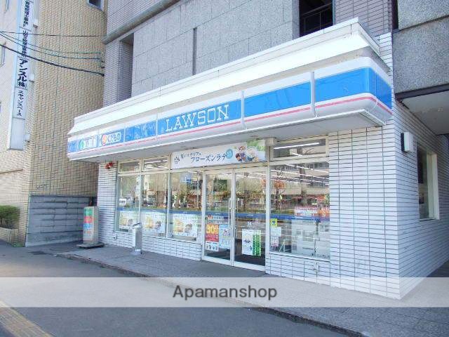 コンビニ　ローソン（コンビニ）まで717m