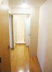 玄関　※同じ間取り別号室参考写真 　現状優先