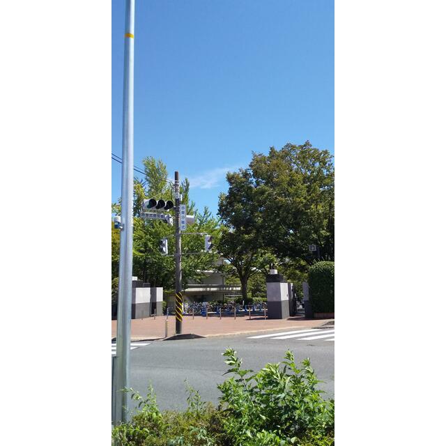 大学・短大　東海大学湘南キャンパス（大学・短大）まで130m