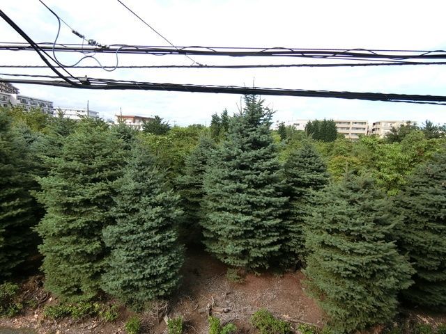 眺望　☆景色☆