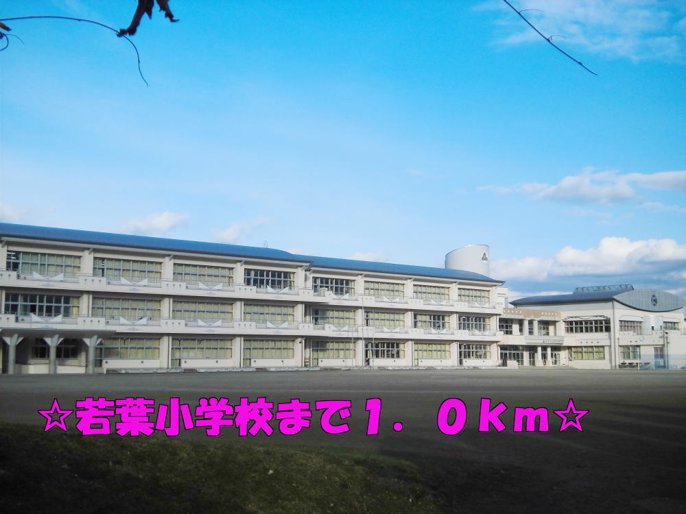 小学校　若葉小学校（小学校）まで1000m