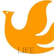 コンビニ　セイコーマート本通5丁目店（コンビニ）まで276m