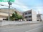 小学校　和歌山市立木本小学校（小学校）まで262m