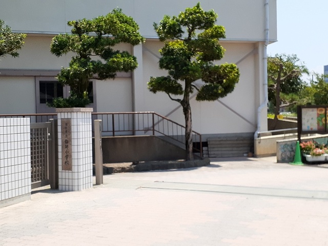 小学校　白坪小学校（小学校）まで130m
