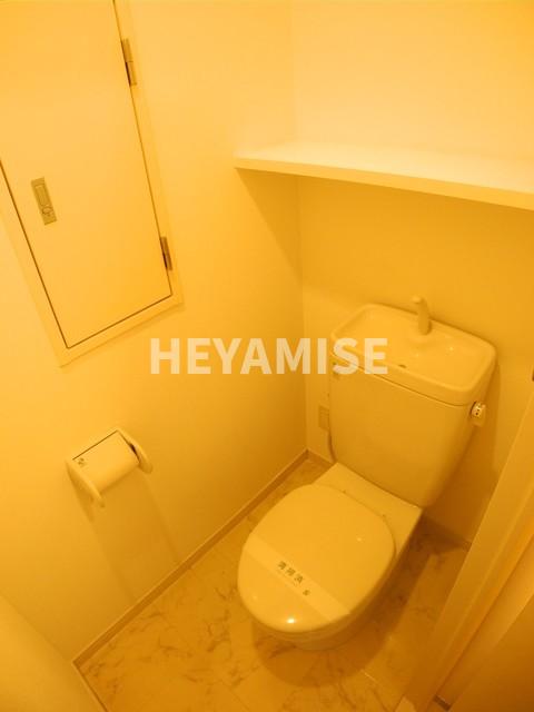 トイレ　同物件の反転タイプ写真です。