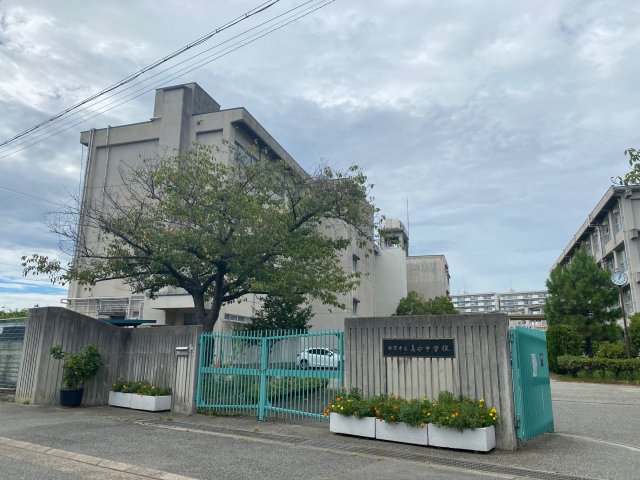小学校　西宮市立南甲子園小学校（小学校）まで718m