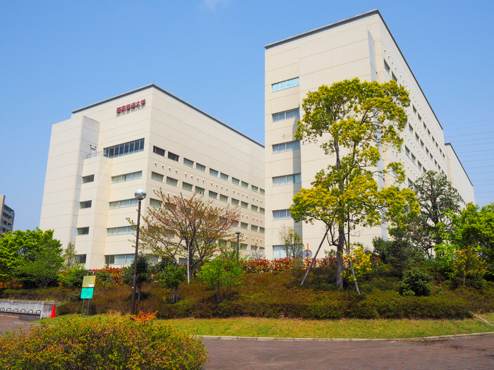 大学・短大　昭和音楽大学（大学・短大）まで130m