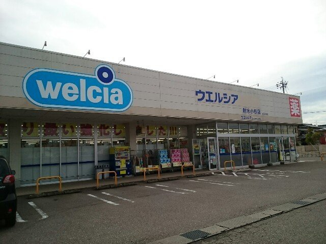 ドラックストア　ウエルシア射水小杉店（ドラッグストア）まで744m