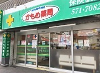 ドラックストア　かもめ薬局（ドラッグストア）まで224m