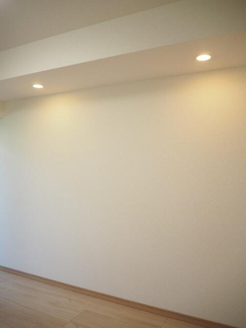 その他設備　ダウンライト?