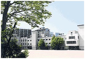 中学校　大阪市立中島中学校（中学校）まで229m
