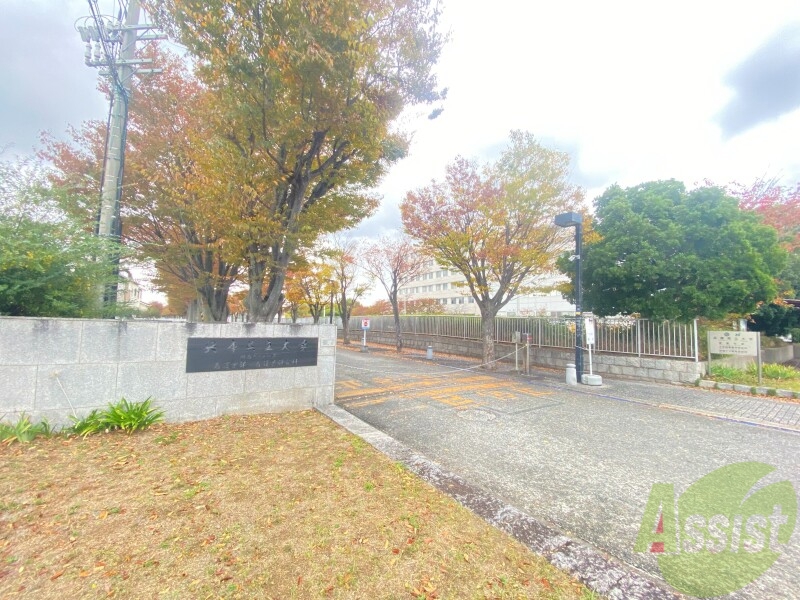 大学・短大　兵庫県立大学明石看護キャンパス（大学・短大）まで3386m