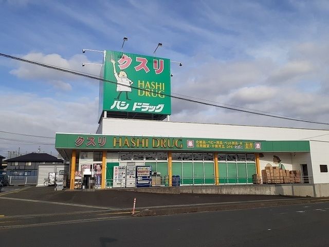 ドラックストア　ハシドラッグ腰浜店（ドラッグストア）まで1100m