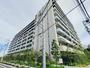 ジオ板橋大山 9階 築1年3ヶ月の賃貸物件