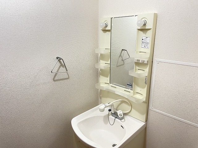 洗面設備　人気設備、シャンプードレッサーと室内洗濯機置場