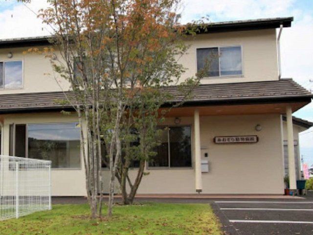 その他　あおぞら動物病院（その他）まで270m