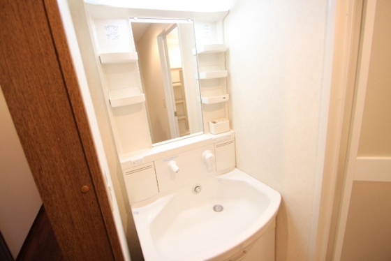 洗面設備　※別号室の写真です