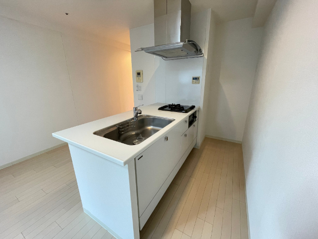 キッチン　オシャレなシステムキッチン