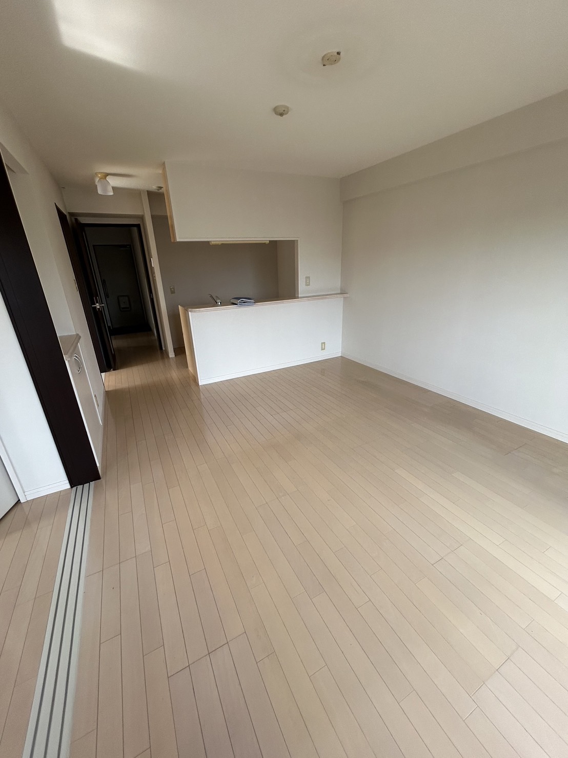 居室・リビング　201号の写真です。