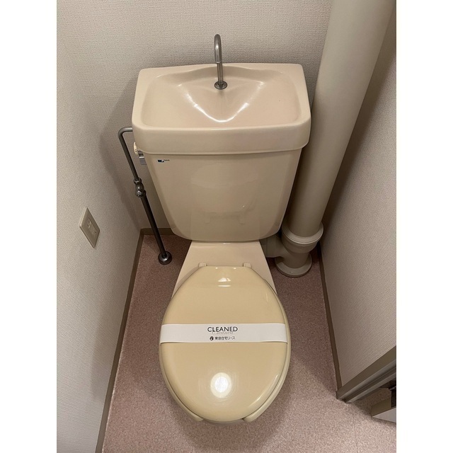 トイレ　※同タイプ・別部屋の写真になります