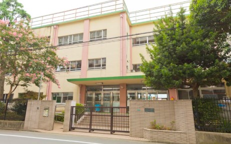小学校　豊島区立高松小学校（小学校）まで528m