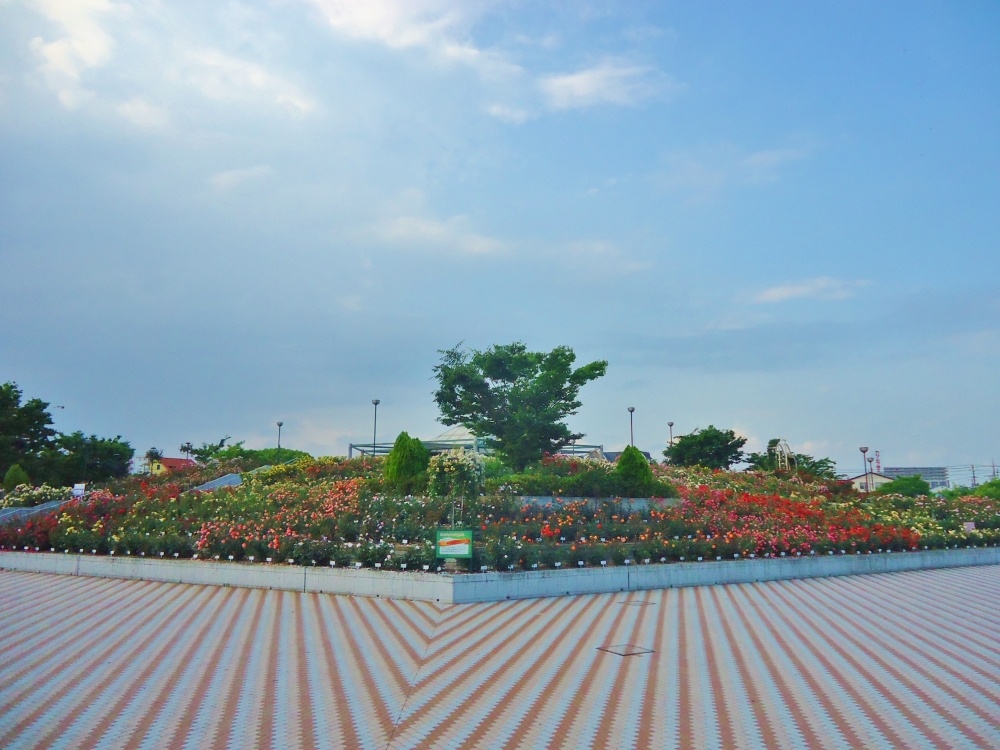 公園　緑町公園（公園）まで1294m