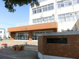 小学校　札幌市立宮の森小学校（小学校）まで552m