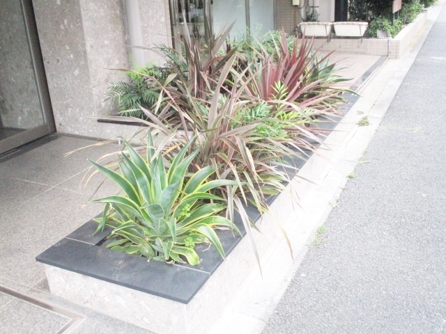 その他　植栽です☆