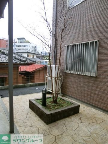 庭