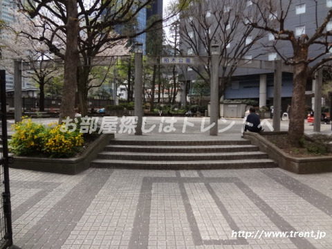 公園　柏木公園（公園）まで570m